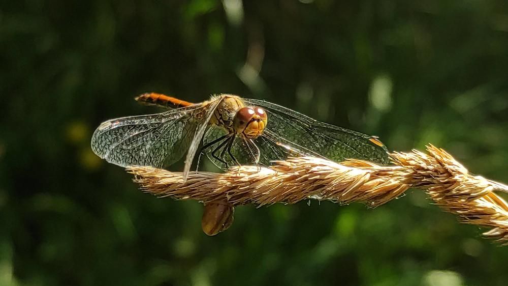 Photograph by ANDREY PERESHEIN