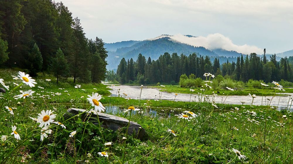 Photograph by Владимир Греков