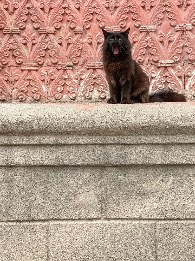 Photograph by Ольга Козлова