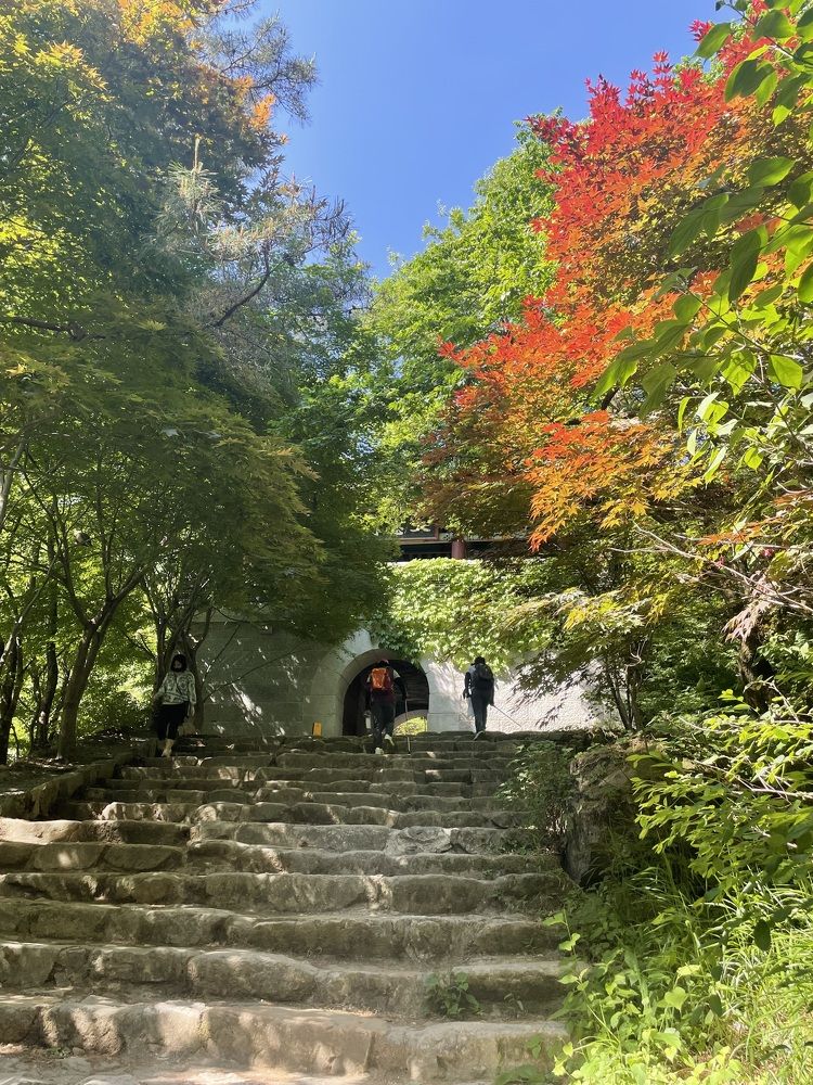 Photograph by Gorobets Olga