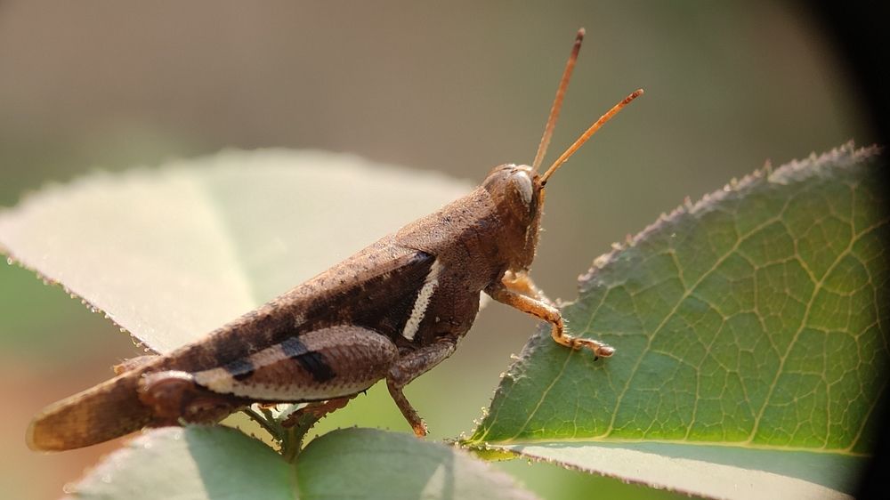 Photograph by RAGESHWARI SELVARAJ