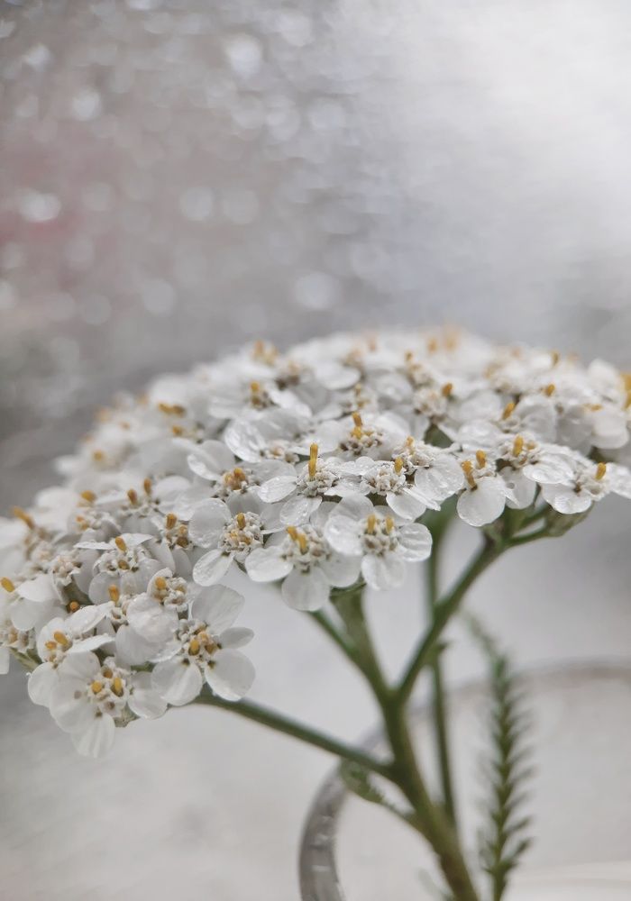 Фотография автора Ольга Кунакова