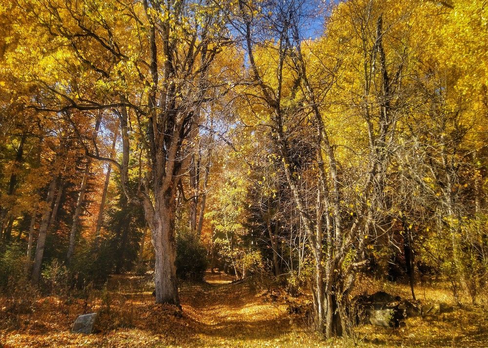 Photograph by Зорин Миша