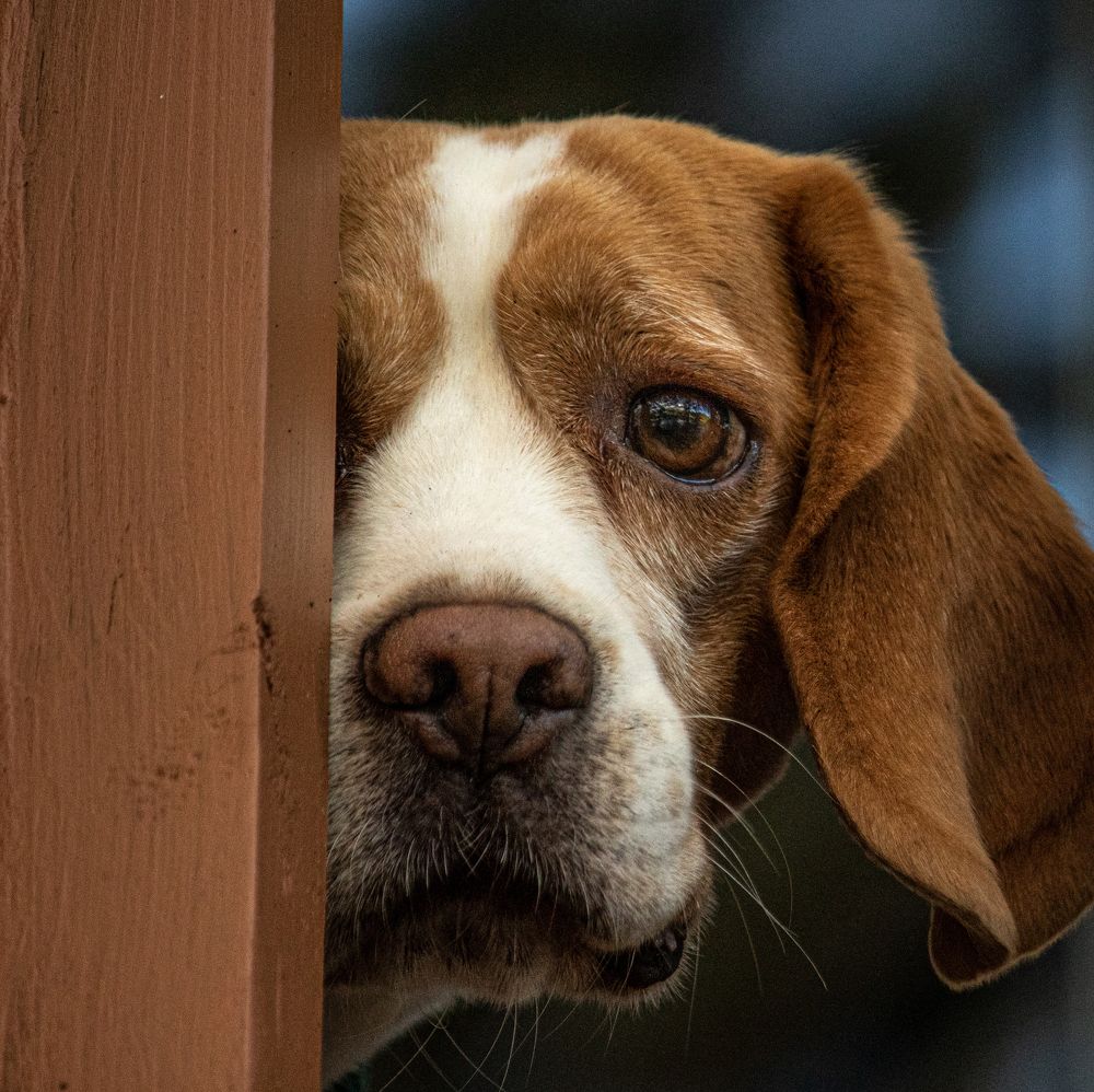 Photograph by Юлия Куликова