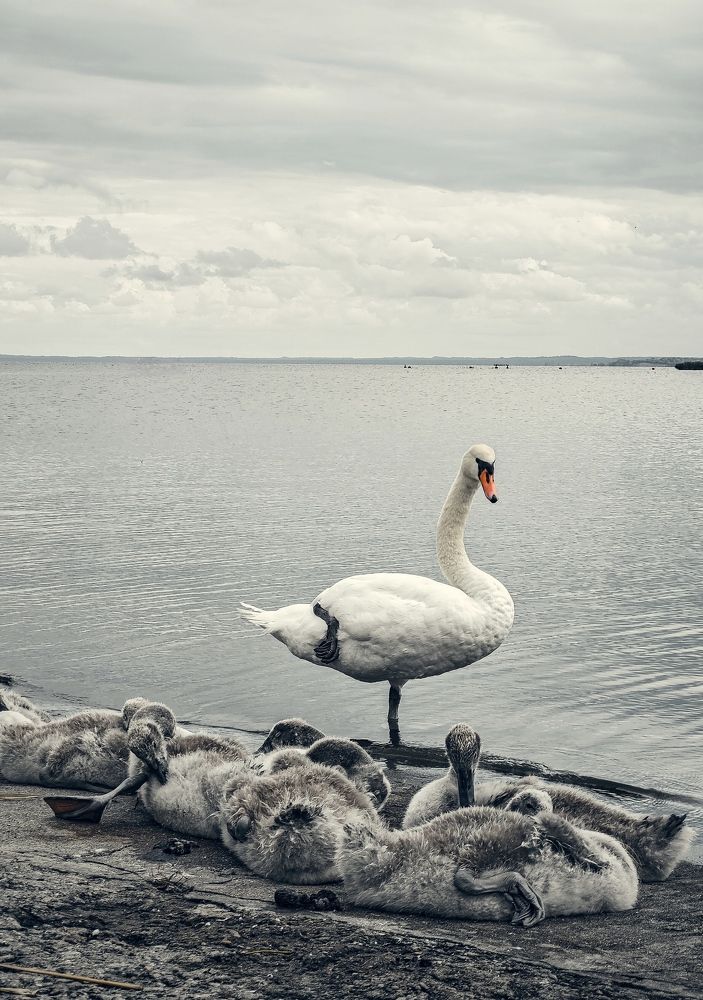 Photograph by Олеся Зеленщикова