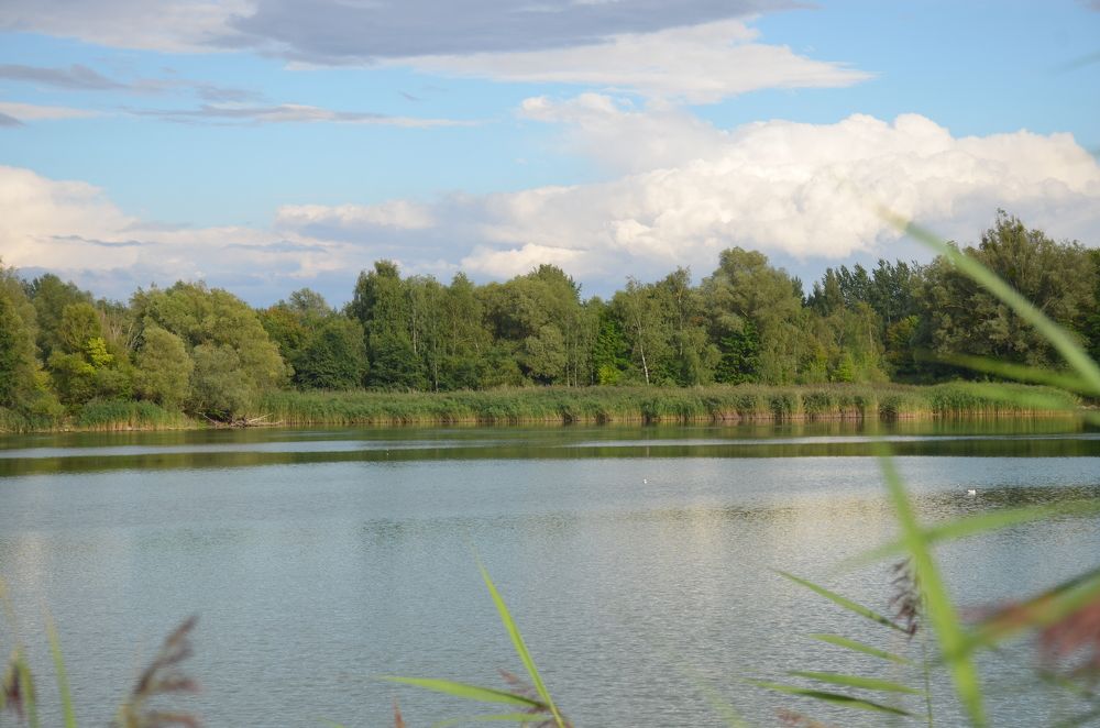 Photograph by Надежда Каравайцева