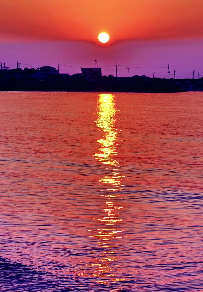 Фотография автора АЛЕКСАНДР ЦЫГЕЛЬНЮК