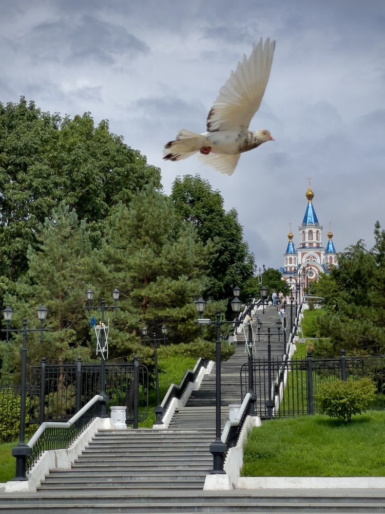 Photograph by Тимур Жилкибаев