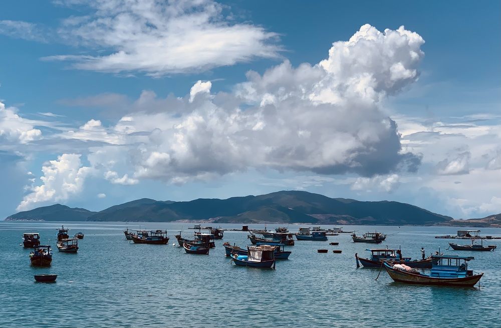 Photograph by Nhân Hoàng