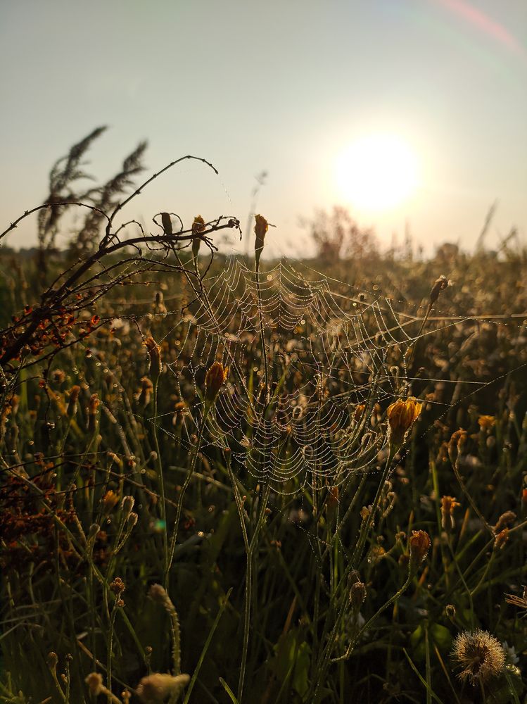 Photograph by Юлия Гашева