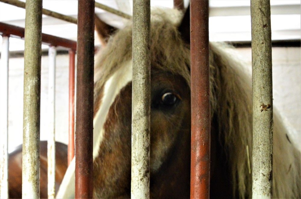 Photograph by Jozef Potocký