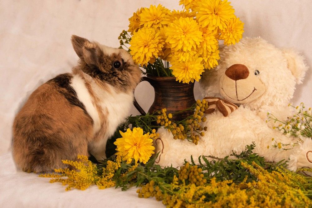 Photograph by Елена Мороз