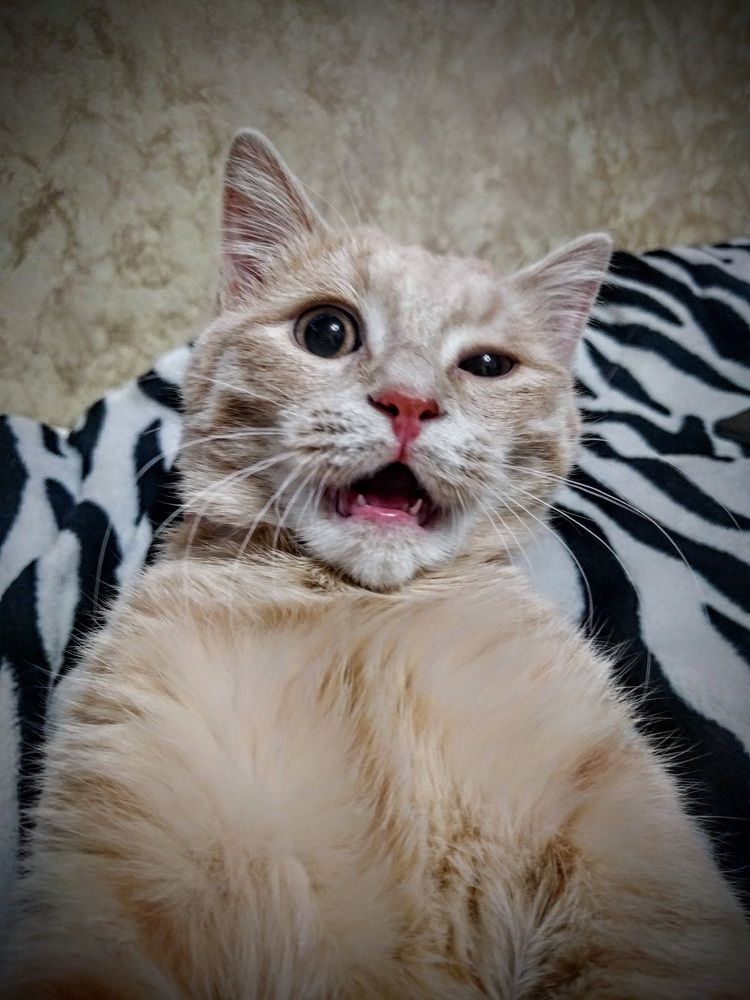 Photograph by Константин Косяков