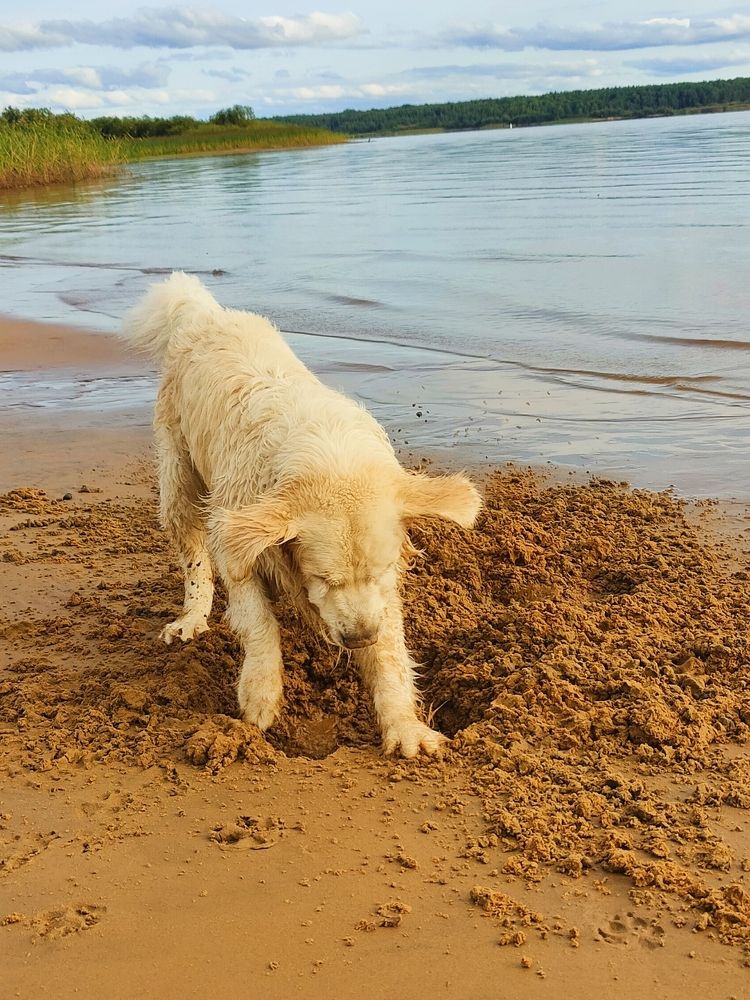 Фотография автора Светлана Смирнова