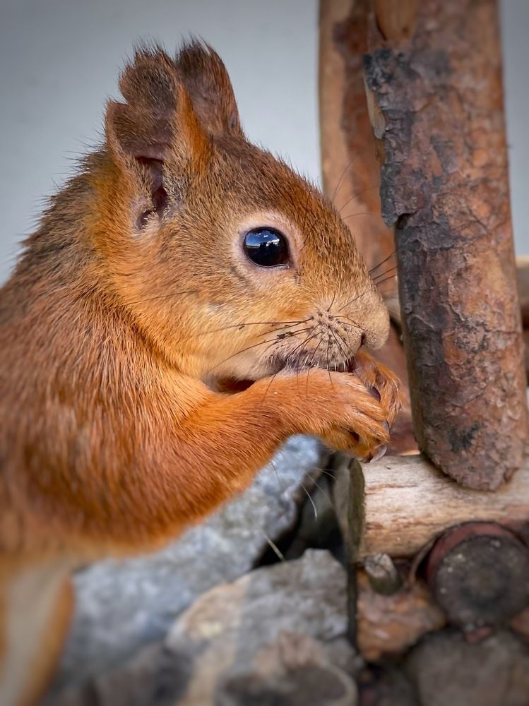 Photograph by Ольга Быкова