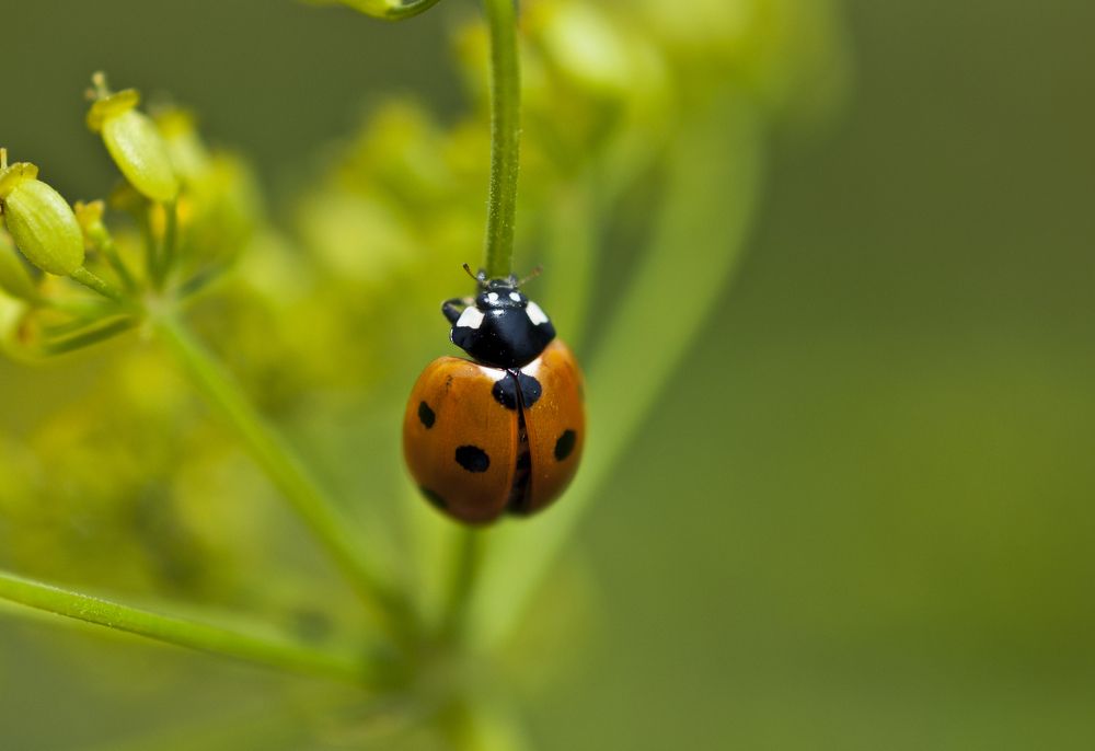 Photograph by Дроздова Наталья