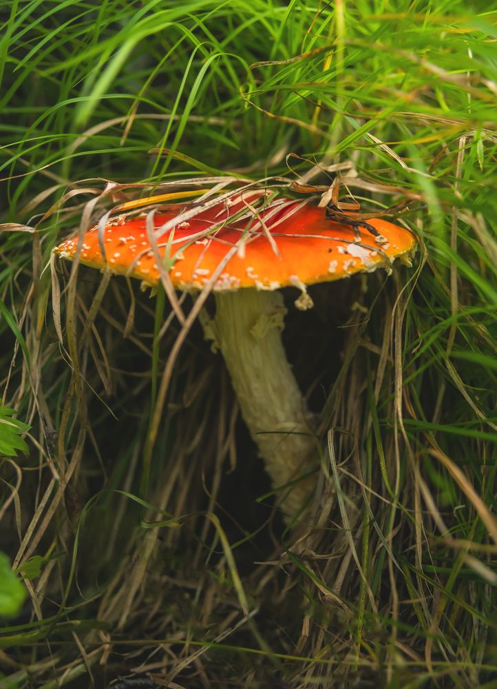 Photograph by Дроздова Наталья