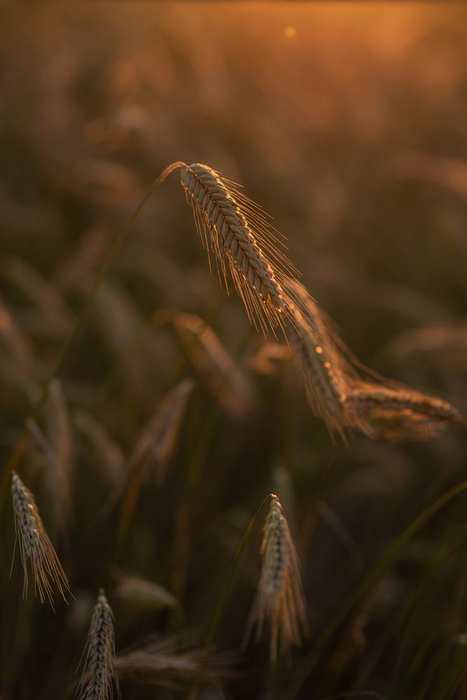 Photograph by Юлианна Волкова