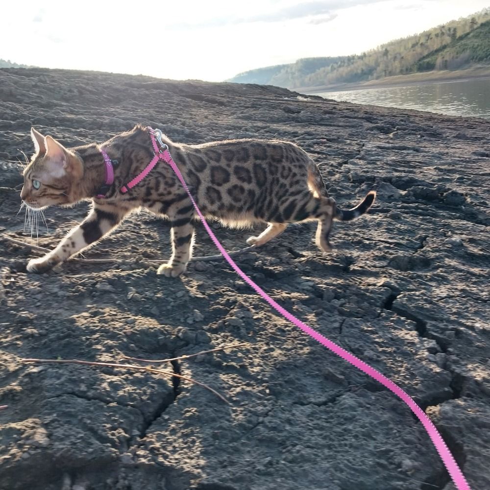 Photograph by Юлия Фирман