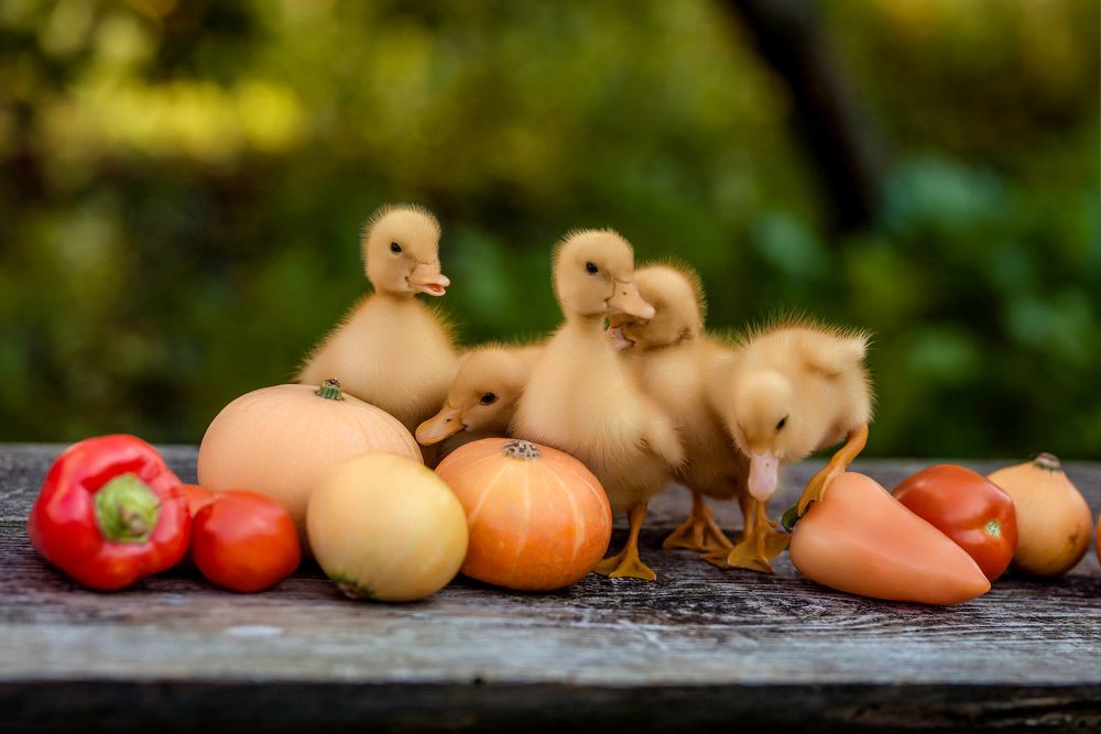 Photograph by Ирина Юрлова