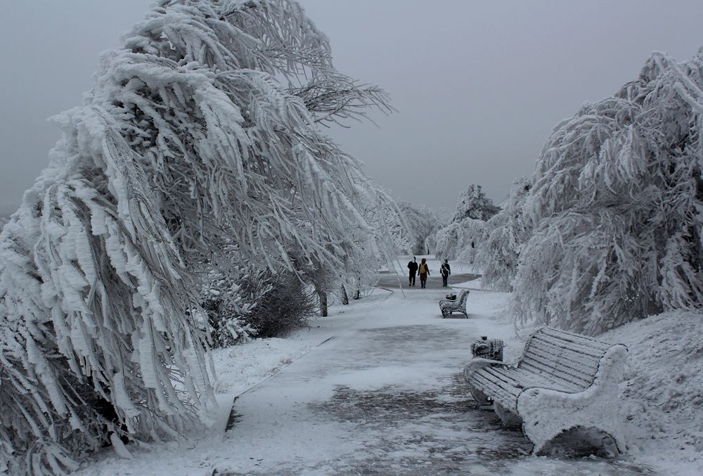 Photograph by Сергей