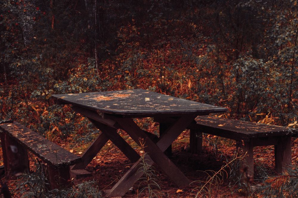 Осенний лес