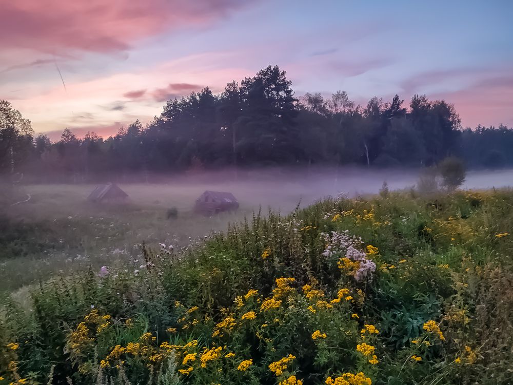 Photograph by Алёна Пшеленская