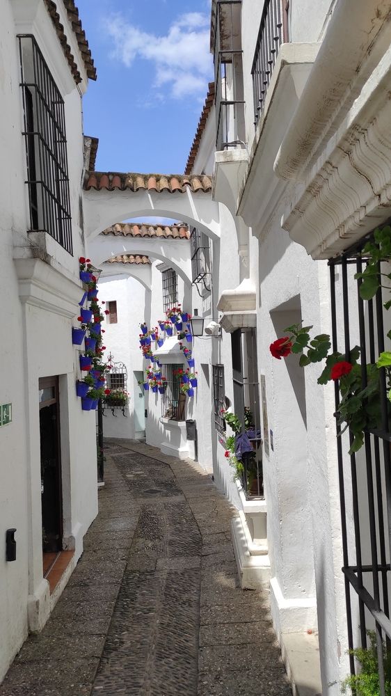 Photograph by Валерий Наумов