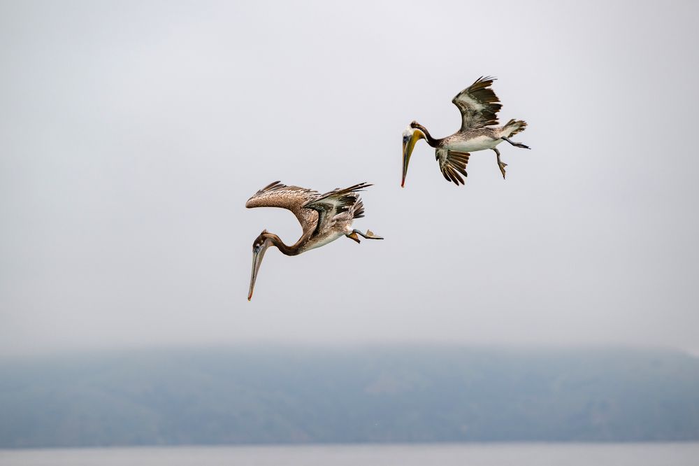 Photograph by Кирина Елизавета