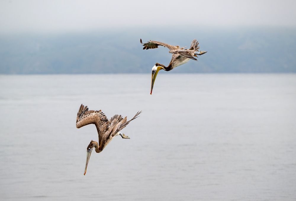 Photograph by Кирина Елизавета