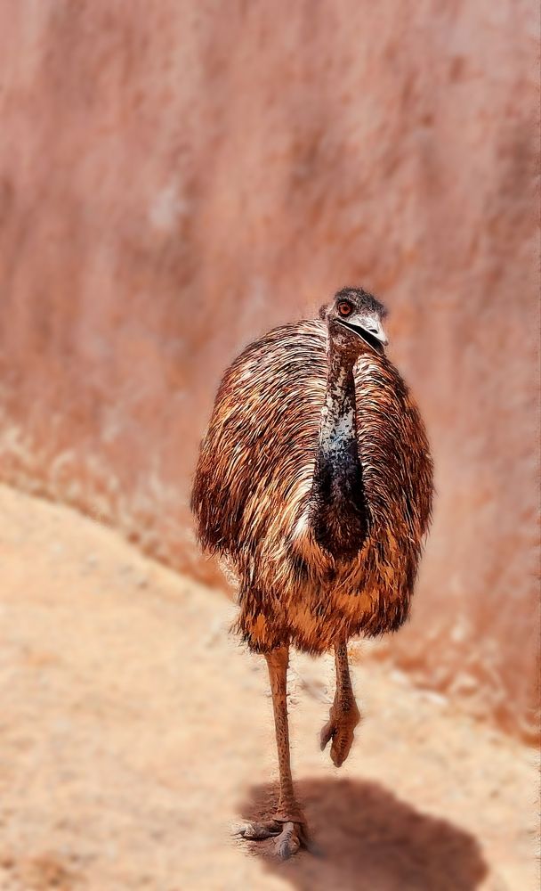 Фотография автора Vijay Jadhav