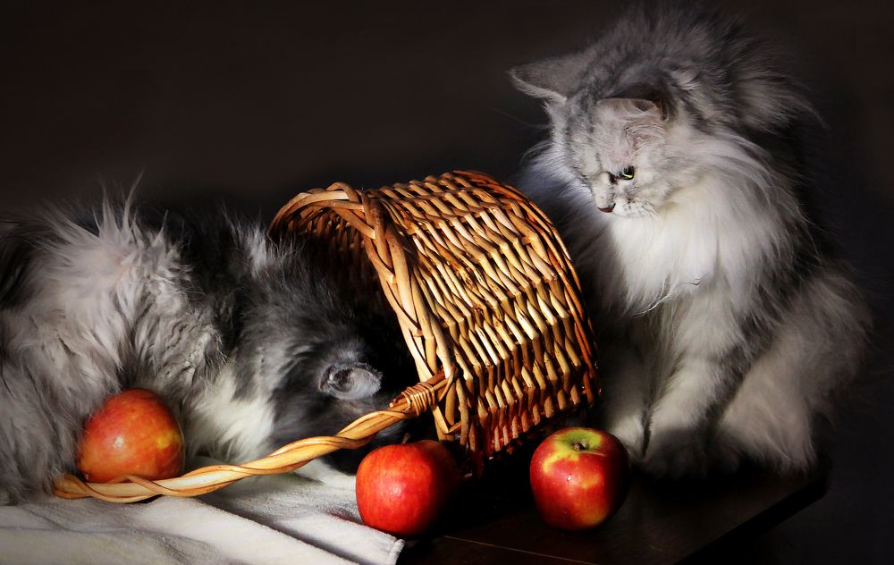 Photograph by Зоя Быкова