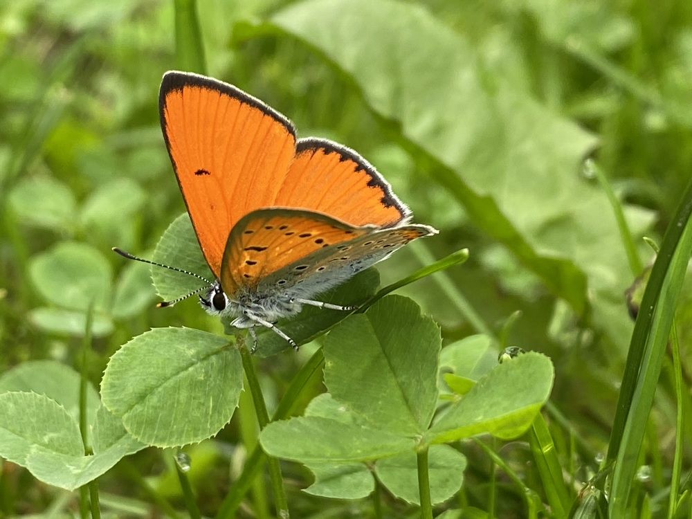Photograph by Ольга Галкина