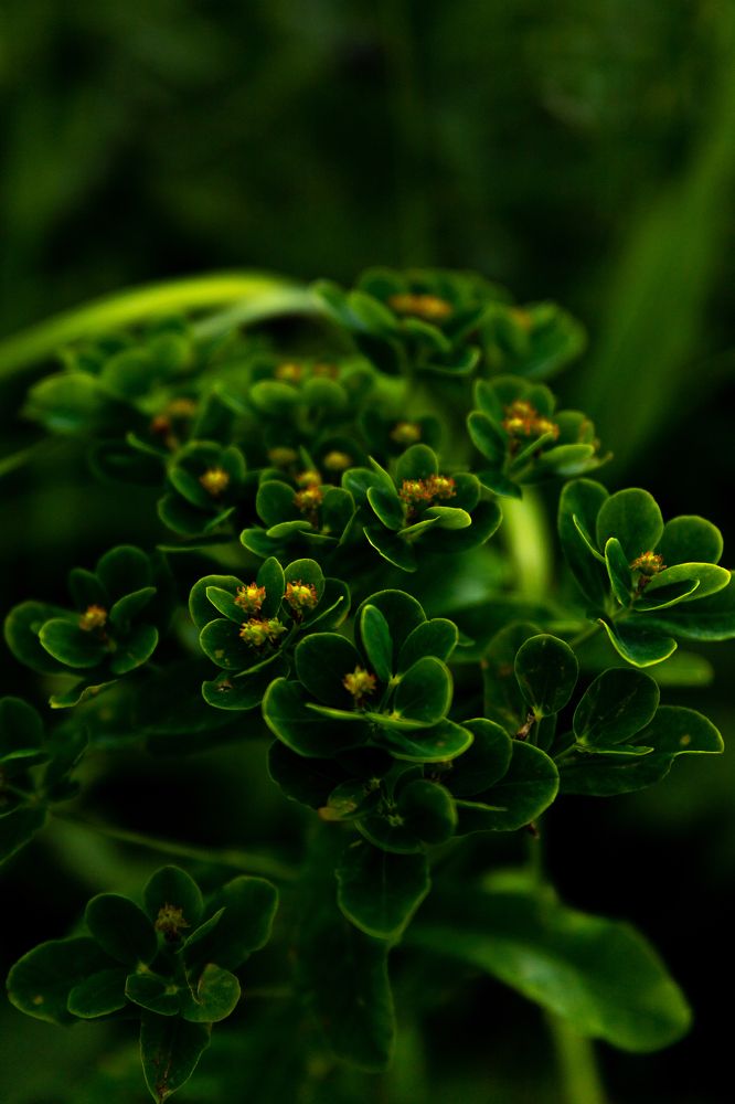 Photograph by Анна Оськина