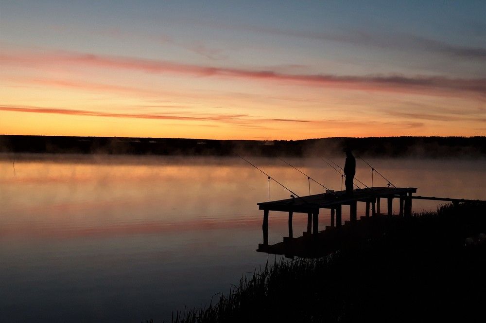 Фотография автора Елена Пикатова