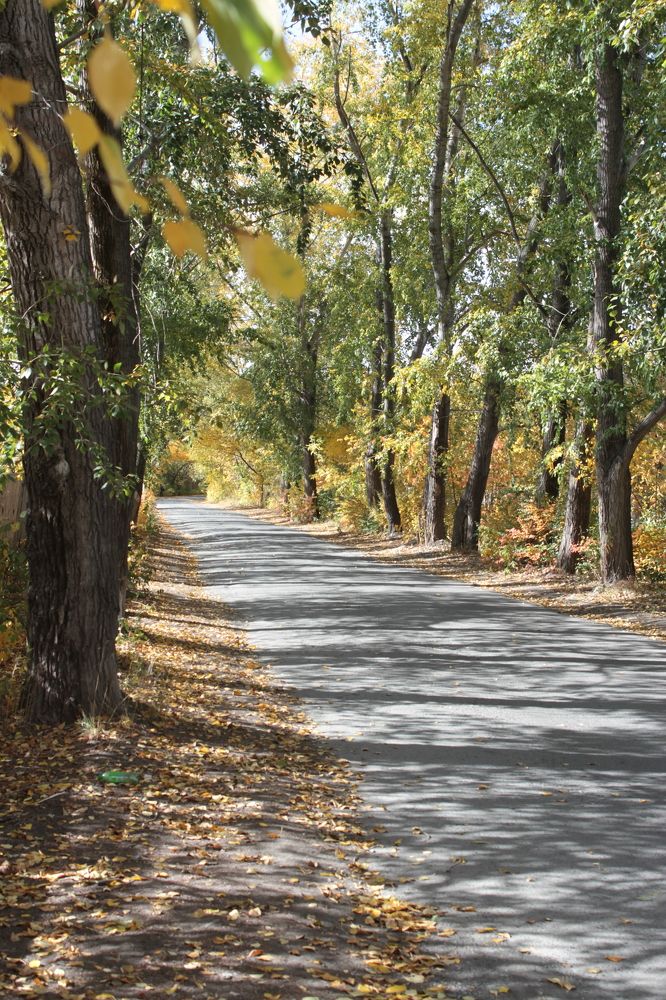 Photograph by Надежда Яковлева