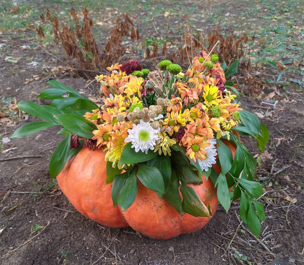 Photograph by Владимир Вялков