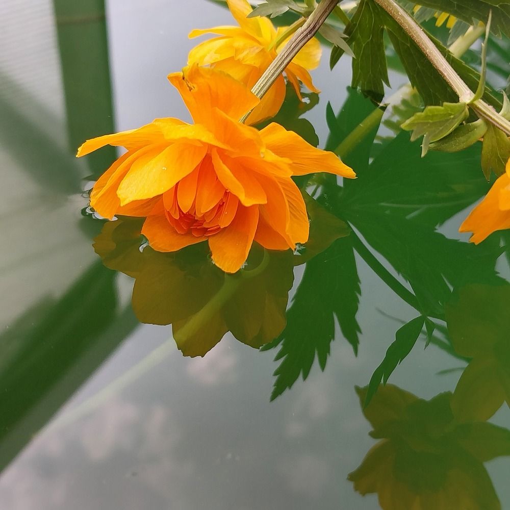 Photograph by Юлия Фирман