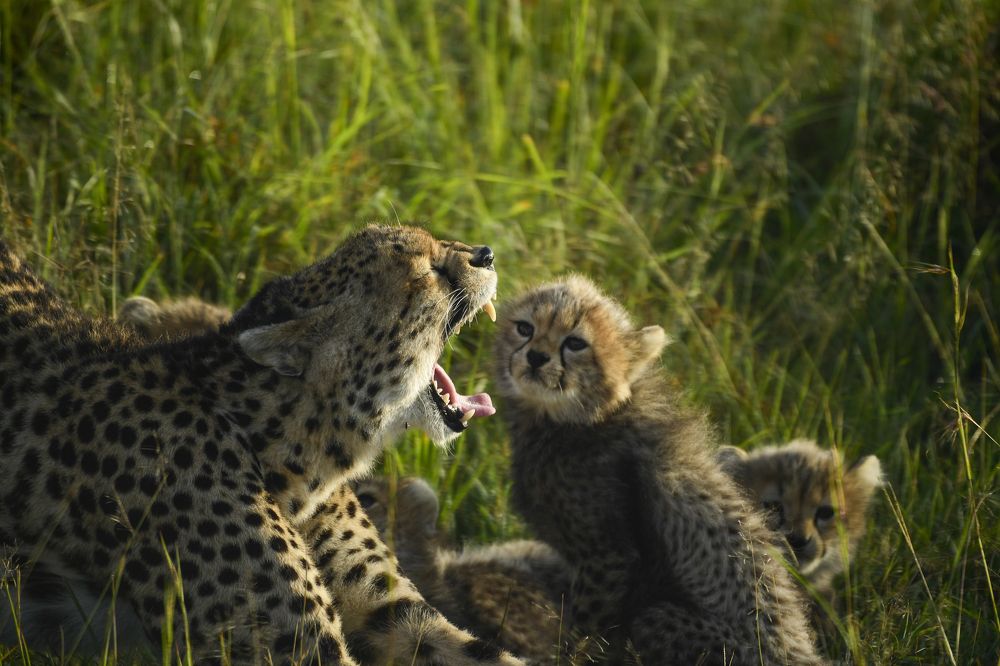 Photograph by Chinmay Fichadiya