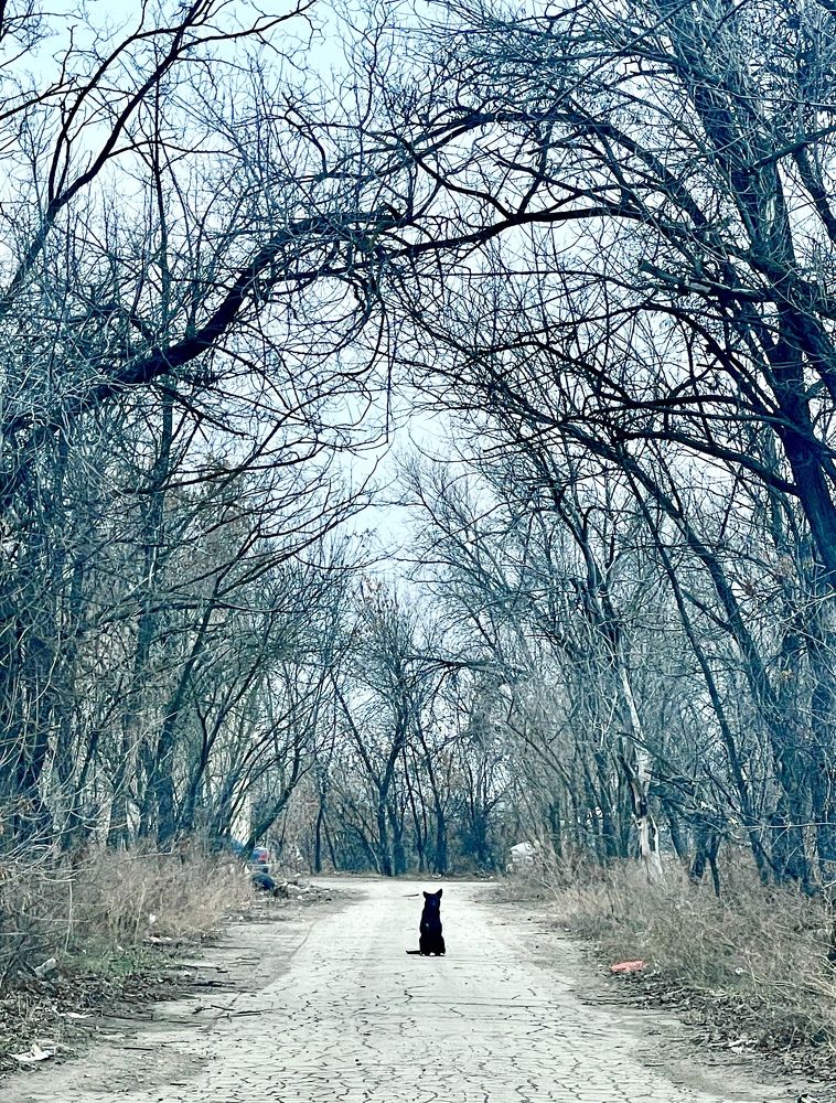 Photograph by Natalya Царева