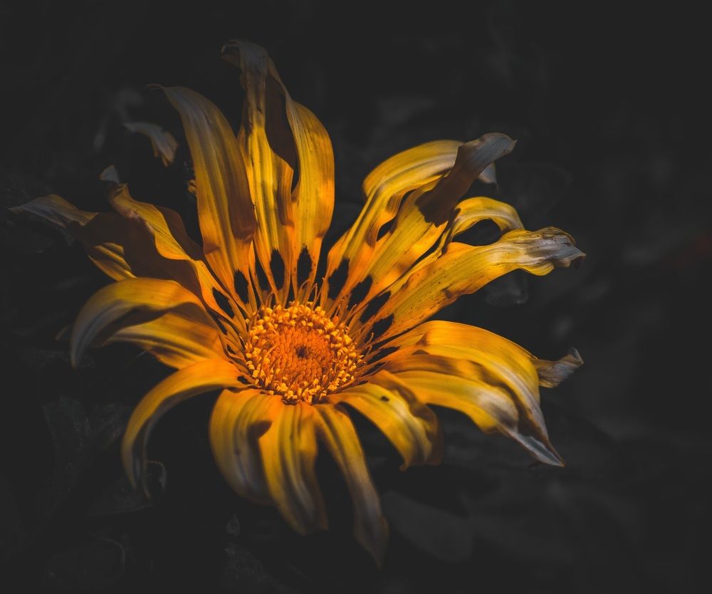 Photograph by Silvina Sánchez