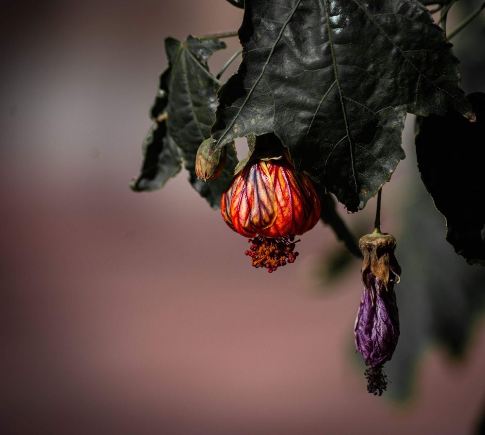 Photograph by Silvina Sánchez