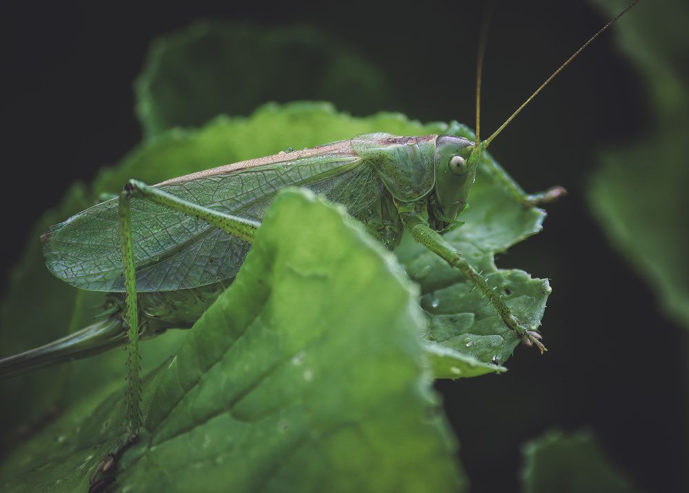 Photograph by Елена Федорова