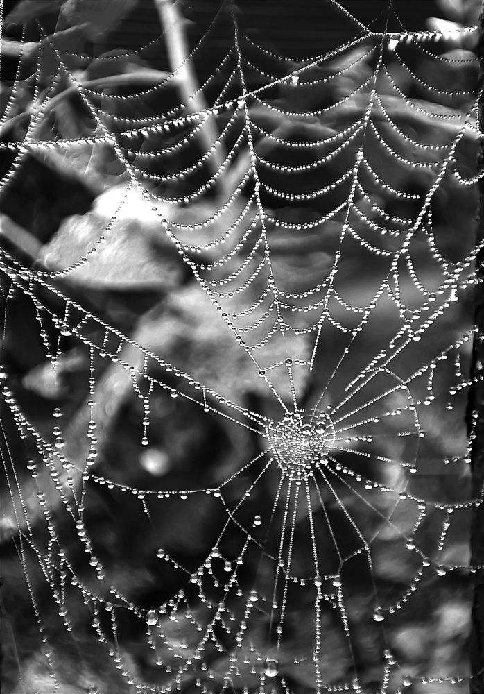 Photograph by Елена