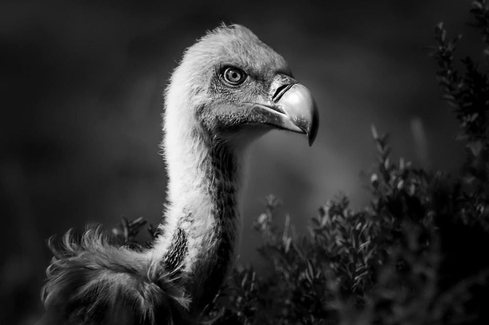 Photograph by Amelia Pardo