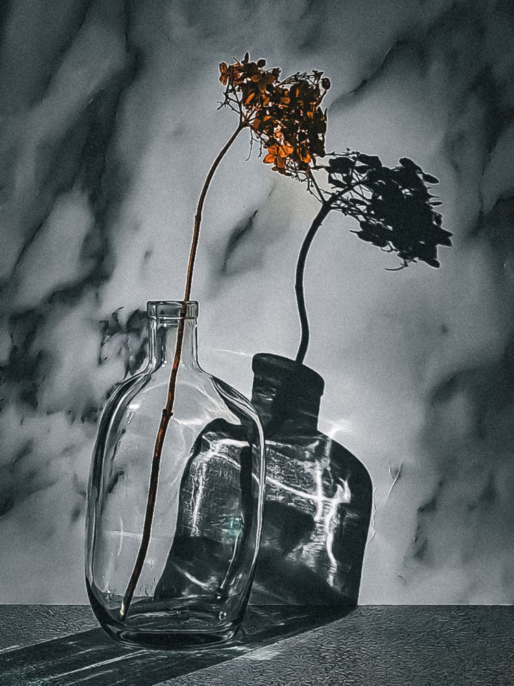 Фотография автора Светлана Алексеева