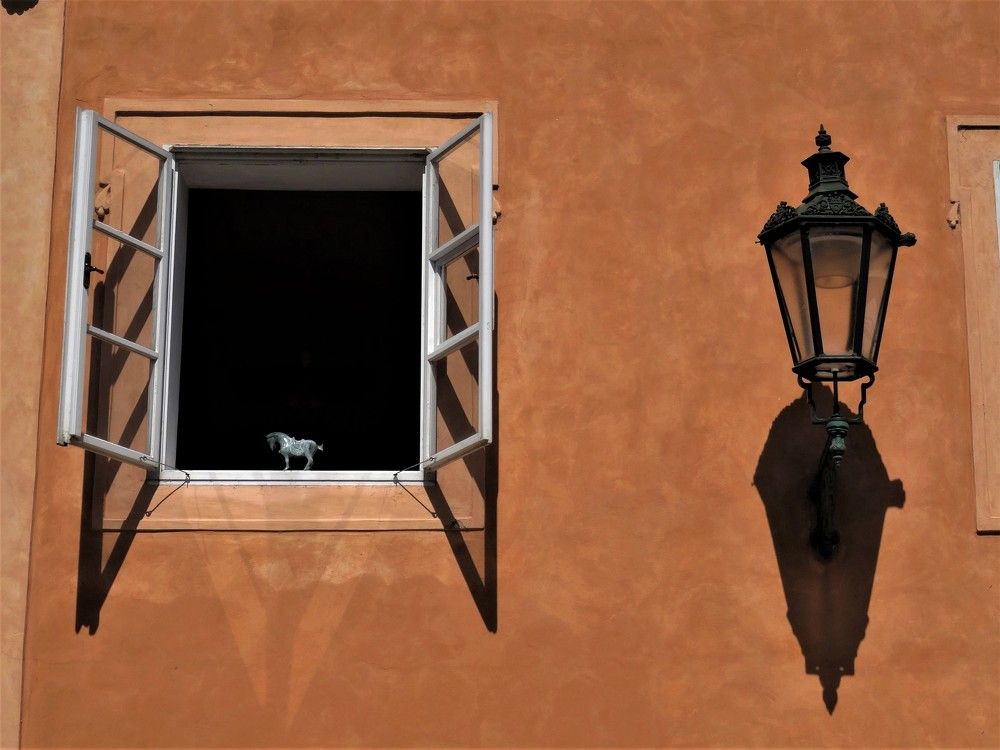 Photograph by Марина Раткун