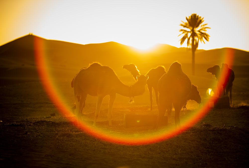 Photograph by Katja Sen