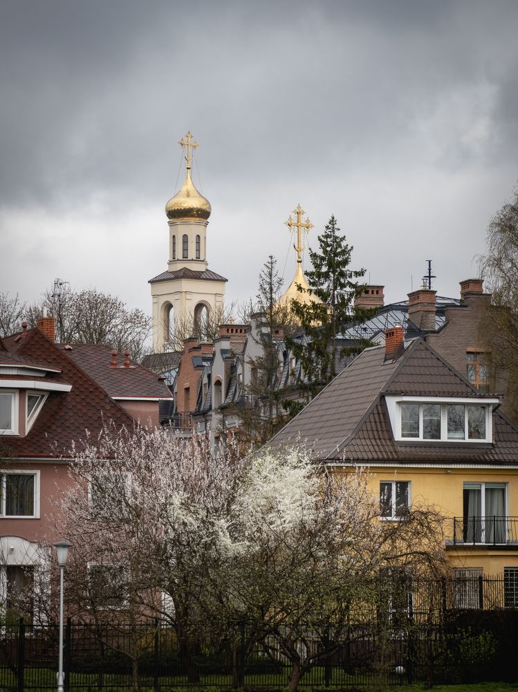 Photograph by Бравичева Анастасия