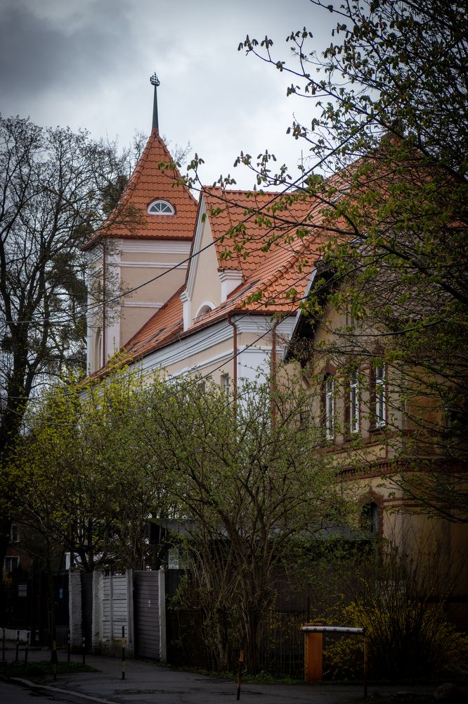 Photograph by Бравичева Анастасия